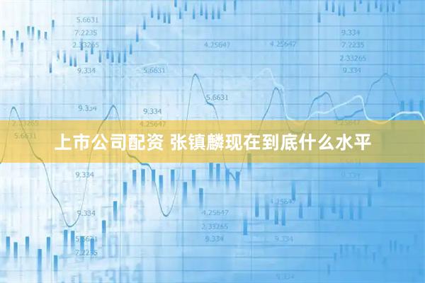 上市公司配资 张镇麟现在到底什么水平