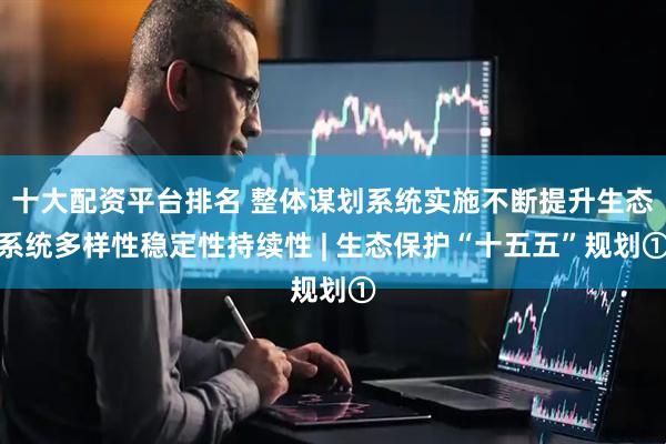 十大配资平台排名 整体谋划系统实施不断提升生态系统多样性稳定性持续性 | 生态保护“十五五”规划①